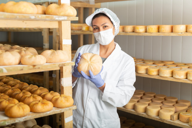 一名穿着白色制服、戴着面具的妇女在熟化室里检查奶酪的质量图片下载