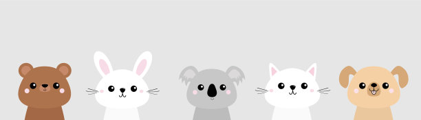 熊，狗，猫，小猫，兔子，野兔，灰熊，考拉图片下载