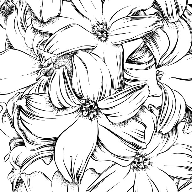 花钢笔和墨水画的风信子在正方形组成-向量钢笔和墨水素描。EPS10矢量图图片下载