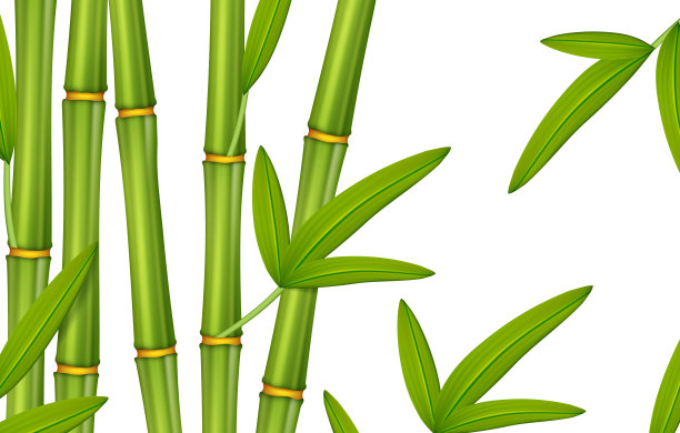 绿叶竹林图片下载