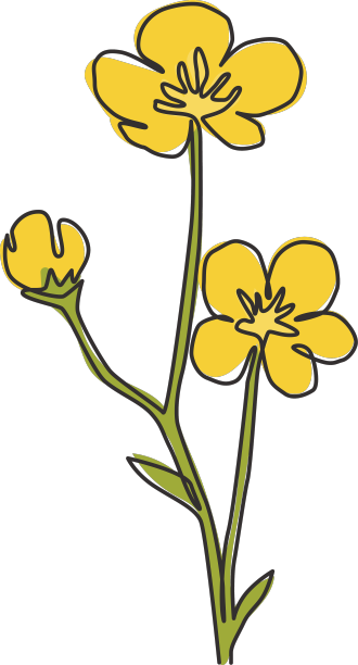 单线画美清新图片下载