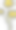 单线画美清新图片下载