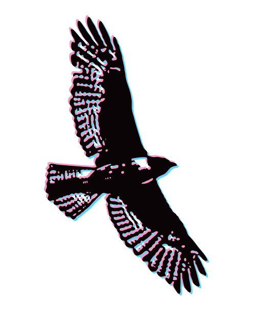 鹰飞行的立体插图图片下载