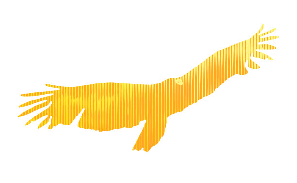 土耳其秃鹰和云层的多次曝光图片下载