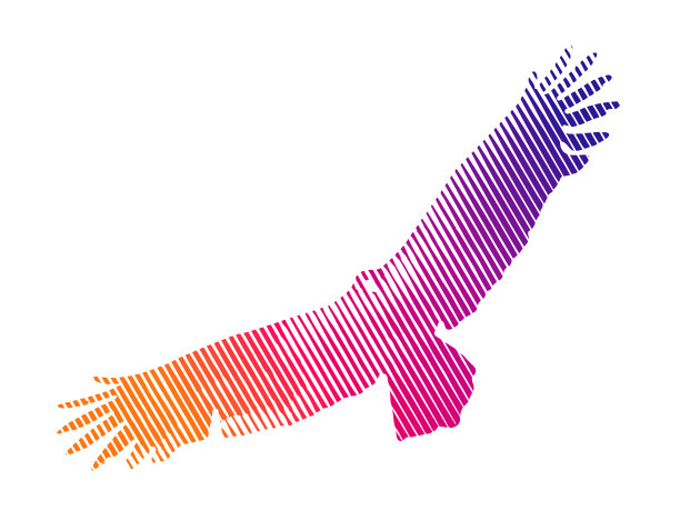 土耳其秃鹰和云层的多次曝光图片下载