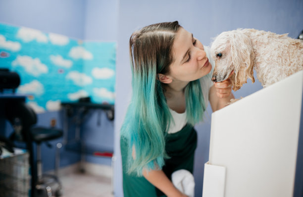 一只狗洗澡图片下载