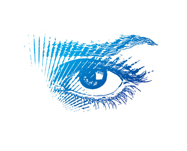 所有的导盲犬图片下载