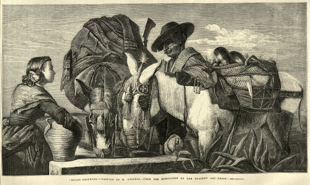 从水槽喝水的骡子，1850年代，维多利亚艺术，19世纪图片下载