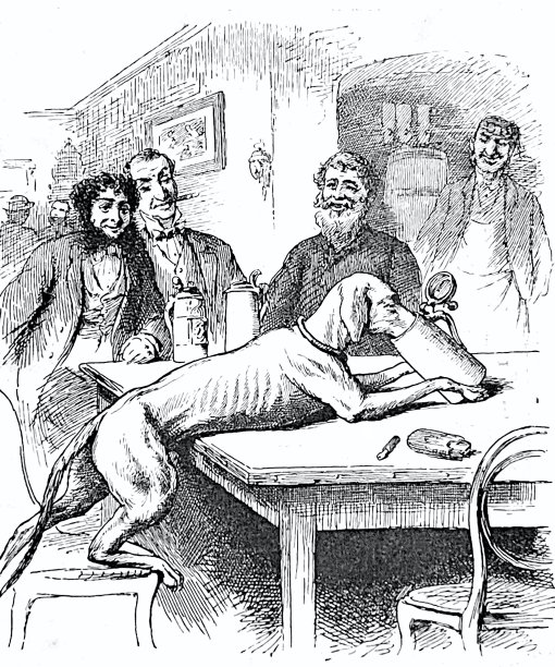 狗在餐厅里用啤酒杯喝水图片下载