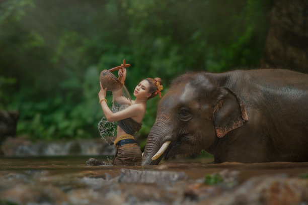 泰国，一名妇女和一头大象站在河中。图片下载