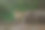 泰国，一名妇女和一头大象站在河中。图片下载