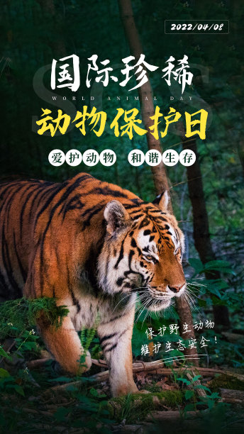 国际珍稀动物保护日手机海报图片下载