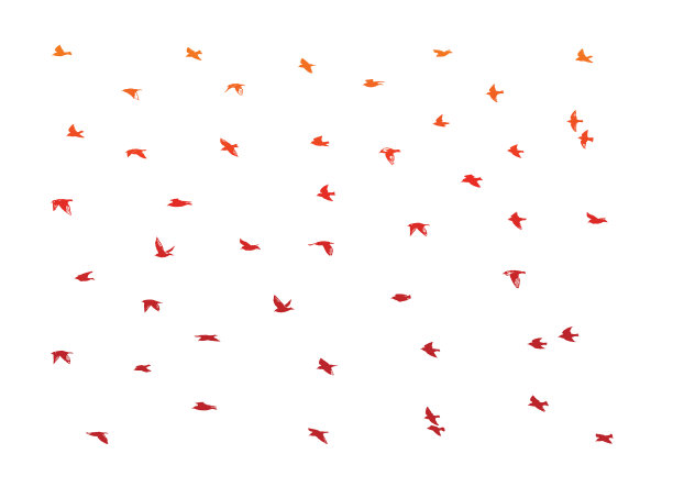 一大群鸟图片下载