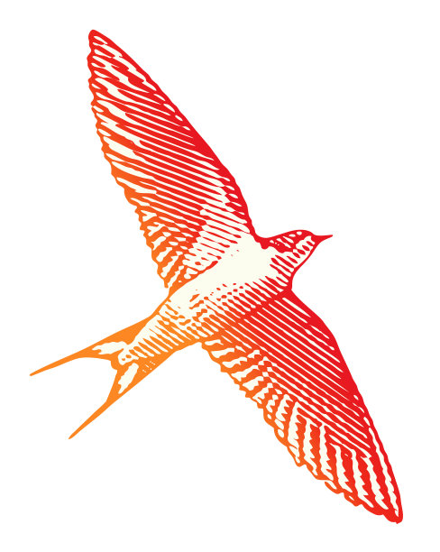 燕子飞图片下载