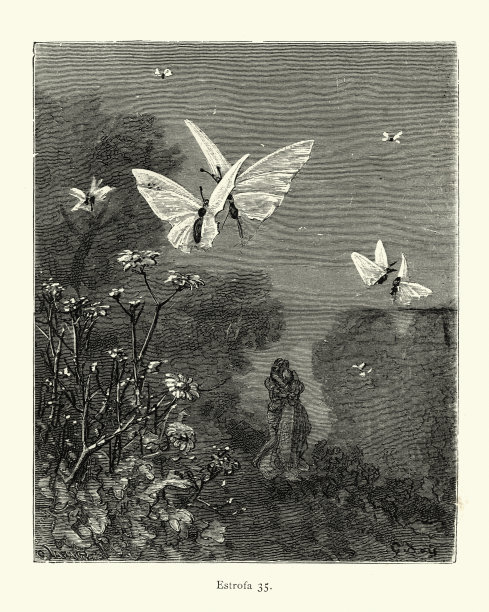 这对恋人在蝴蝶的簇拥下重逢了。奥兰多图片下载