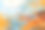 插画风景落叶在秋天的树与黄色的叶子映衬着蓝天油画印象派图片下载