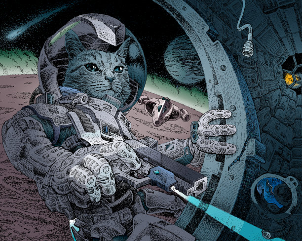 寻找幸存者图片下载