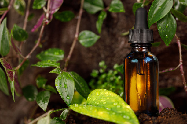 替代医学，一种自然疗法。装草药油的带滴管的瓶子。图片下载