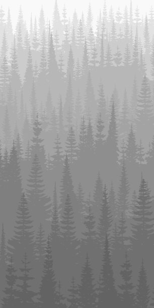 针叶林在晨雾中，黑白相间的景观，垂直图片下载