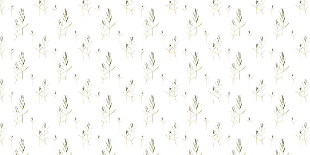 植物收集。从无缝模式创建的模式。图片下载