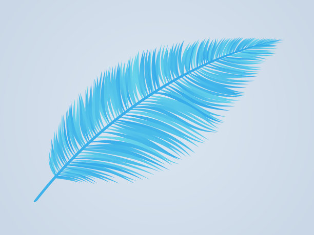 羽毛棕榈文摘图片下载