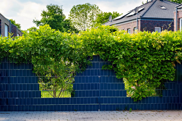 在德国，一个蓝色的金属栅栏上生长着绿色的植物，背景是一座建筑图片下载