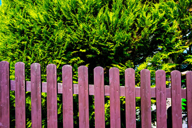德国沿街的木栅栏和绿色植物图片下载
