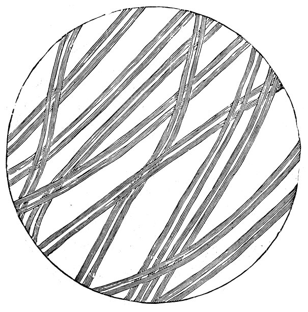 科学发现、实验和发明的古董插图:显微镜、丝绸图片下载