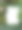森林、自然和荒野的概念。从苔藓和蜗牛的框架。白色背景。从上面看。副本的空间。图片下载