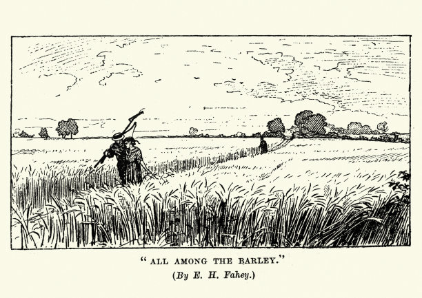 一对夫妇在大麦地里散步，英格兰，19世纪图片下载