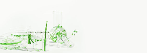 有机化妆品，天然化妆品，生物燃料，藻类。天然绿色实验室。实验。实验室玻璃器皿和容器与绿色植物在浅色背景。图片下载
