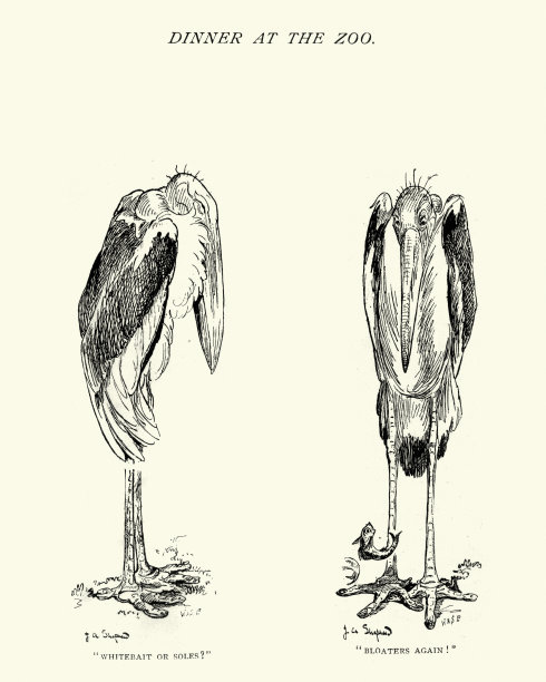 19世纪伦敦动物园的鹳图片下载