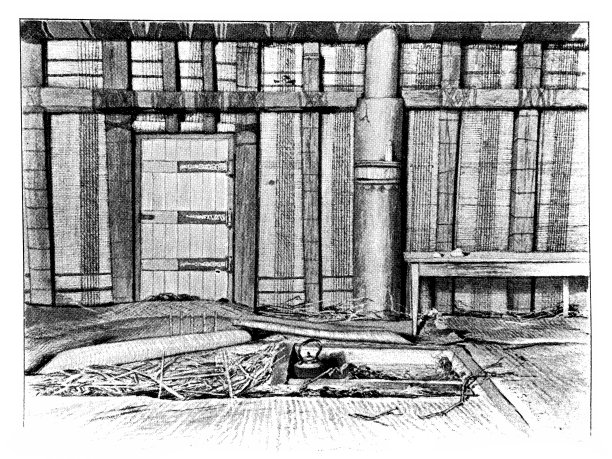 斐济乡村住宅室内图片下载