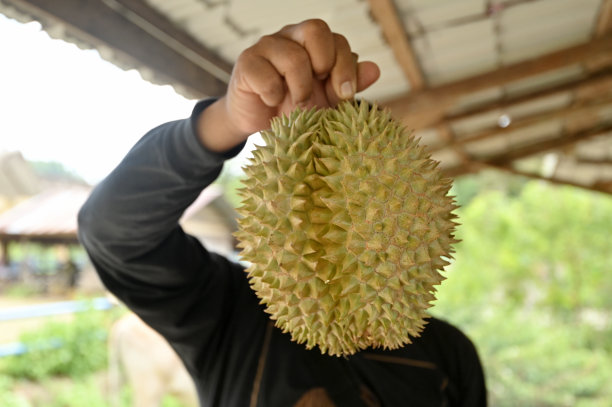 出售榴莲图片下载