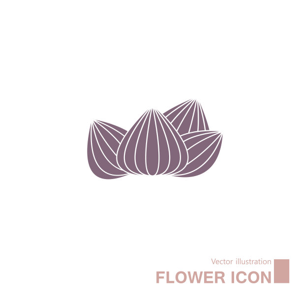 矢量画花。图片下载