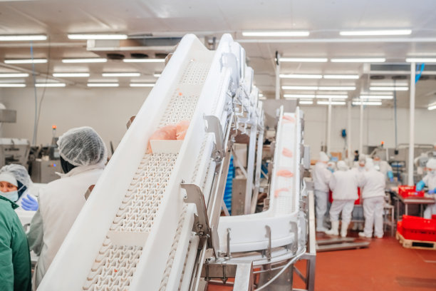 现代化家禽加工厂。用肉生产食品的工厂。传送带上的食物。现代化食品工厂的自动化生产线。图片下载