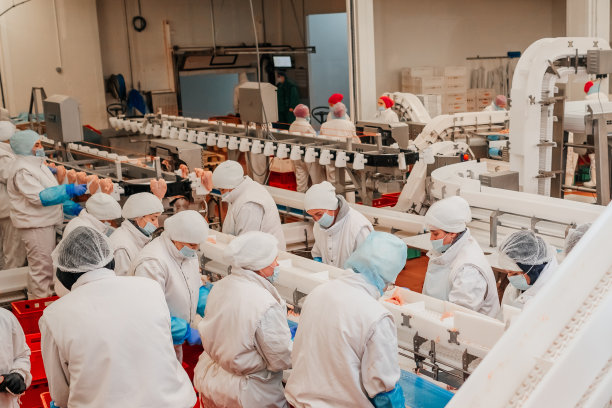 鸡片生产线。用肉生产食品的工厂。现代化家禽加工厂。传送带上的食物。肉的工厂。图片下载