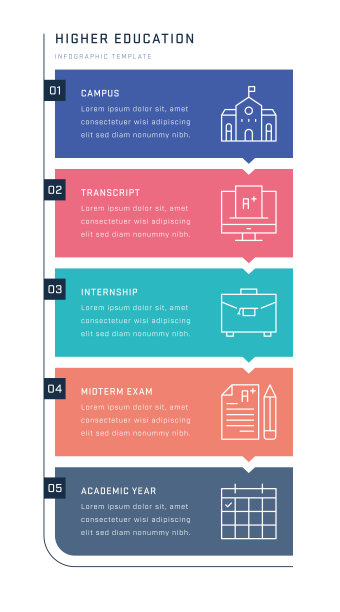 高等教育垂直信息图形设计图片下载