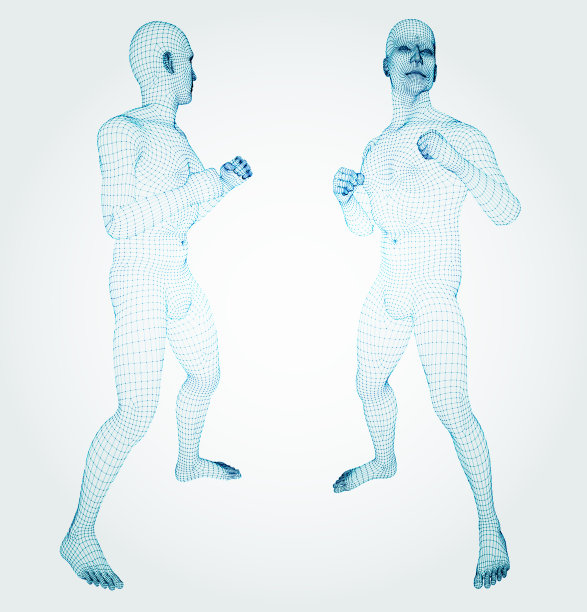 三维人。战斗。Ware mesh从3d应用程序。图片下载
