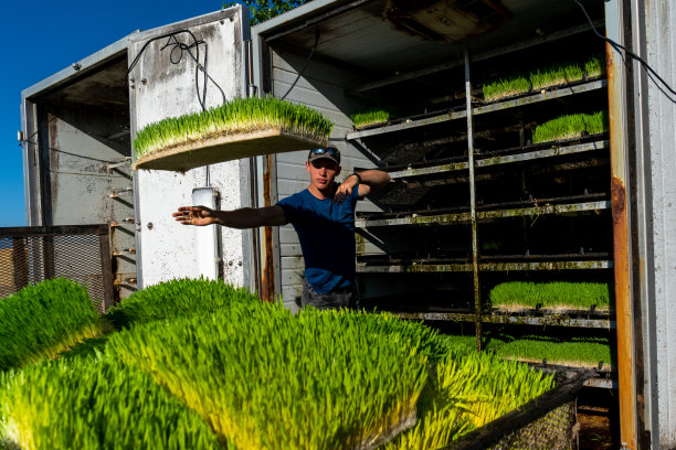 敬业的农场男孩勤奋地从种植者那里拉饲料，以确保农场动物得到适当的营养。图片下载