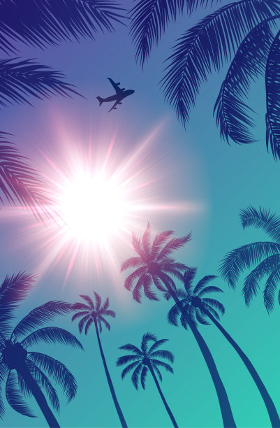 棕榈树上空的客机和天空中的太阳图片下载