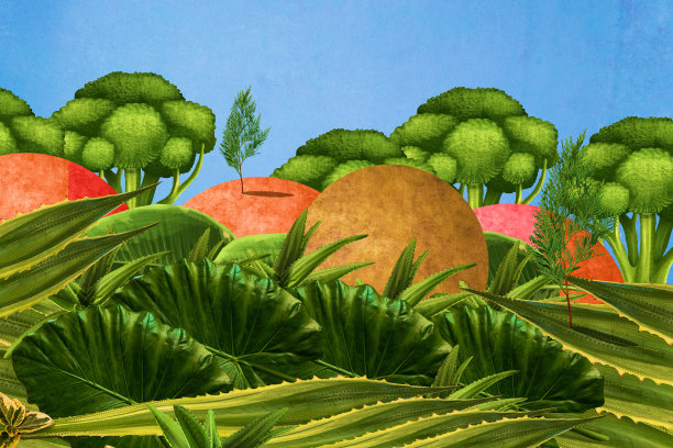 郁郁葱葱的绿叶景观与西兰花图片下载