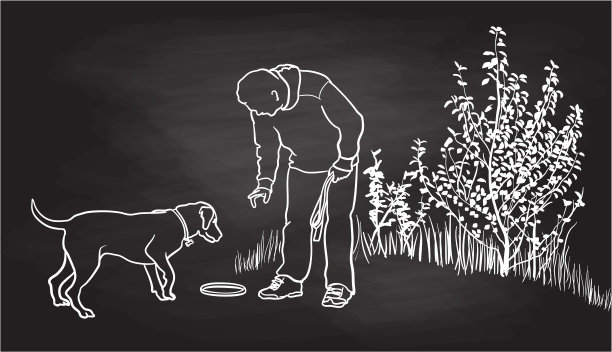 用黑板训练狗图片下载