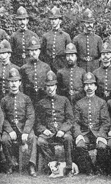 狗狗和他的警察同事图片下载