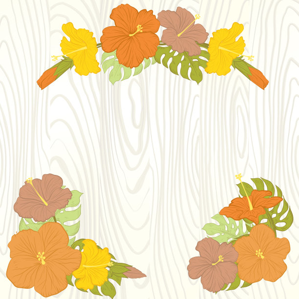 木槿夏威夷背景图片下载