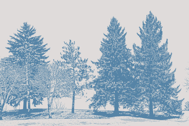 松树雕刻图片下载