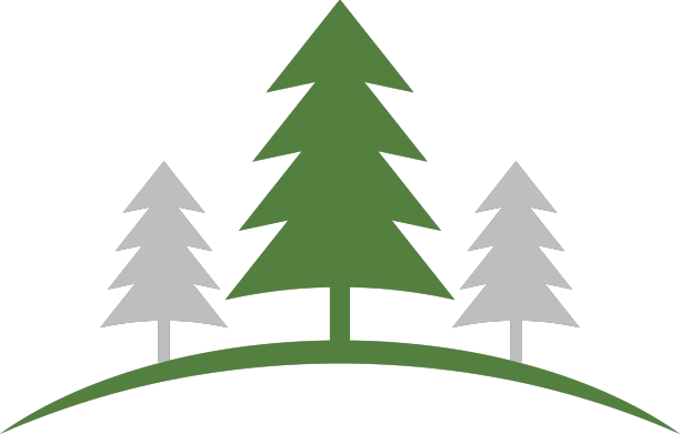 雪松树平面设计模板隔离图片下载