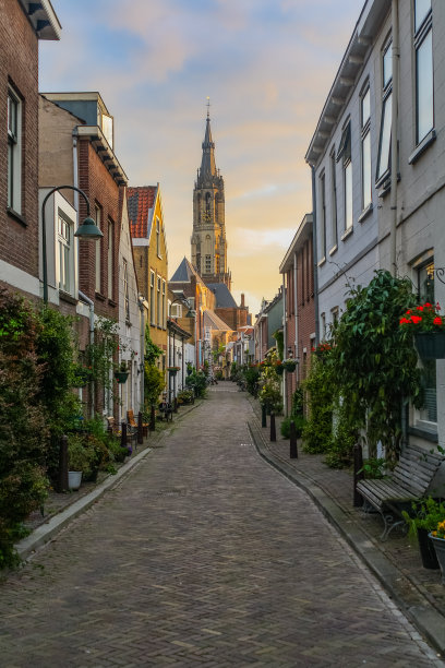 代尔夫特号图片下载