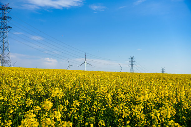 美丽大自然中的风能图片下载