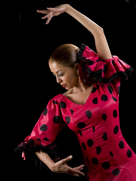 弗拉曼柯舞图片下载